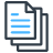 Data Subject Icon