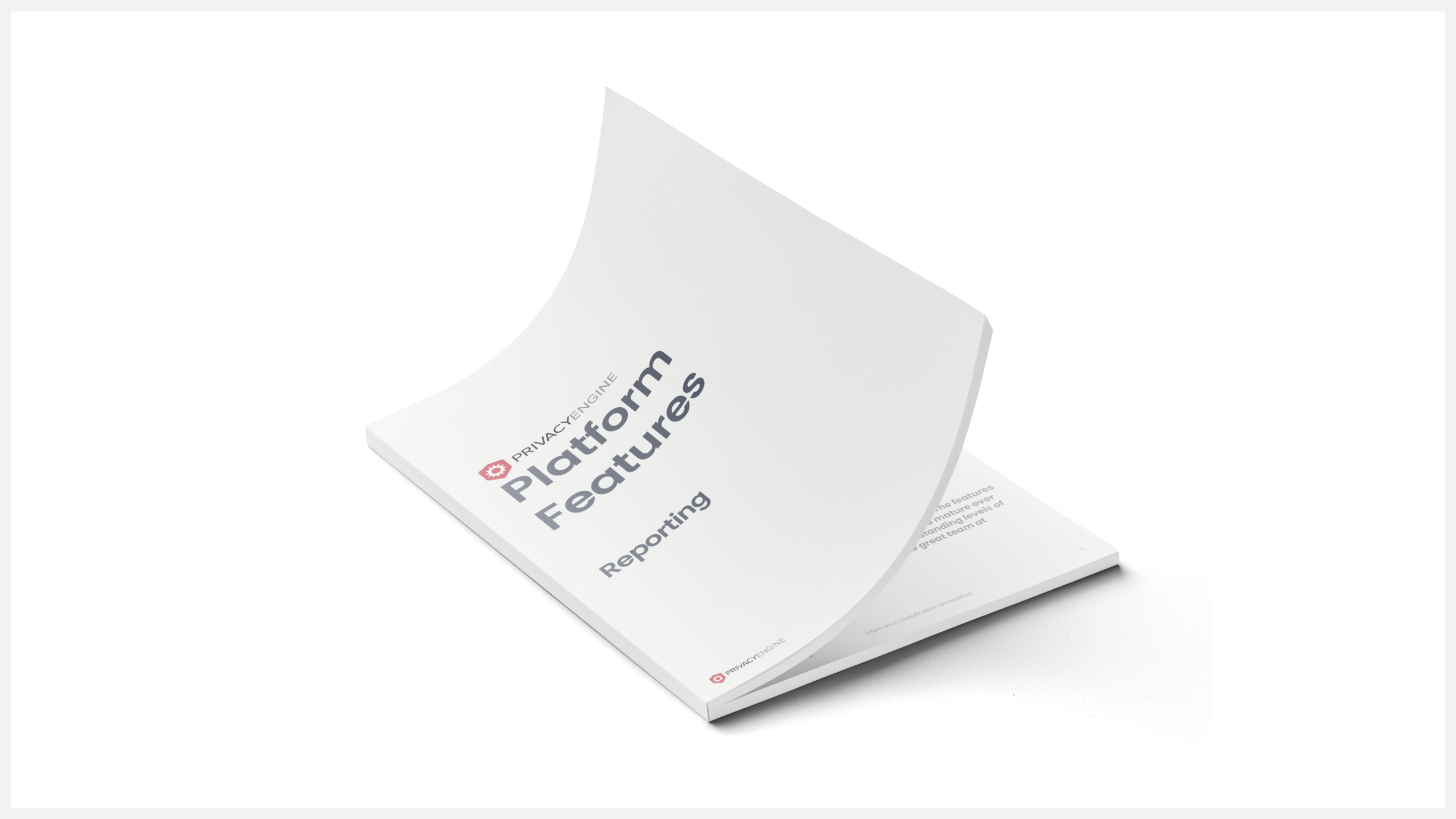 Reporting PrivacyEngine Brochure