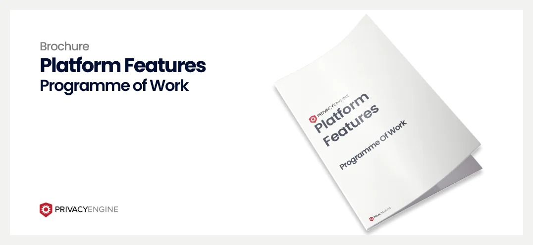 Programme of Work PrivacyEngine Brochure