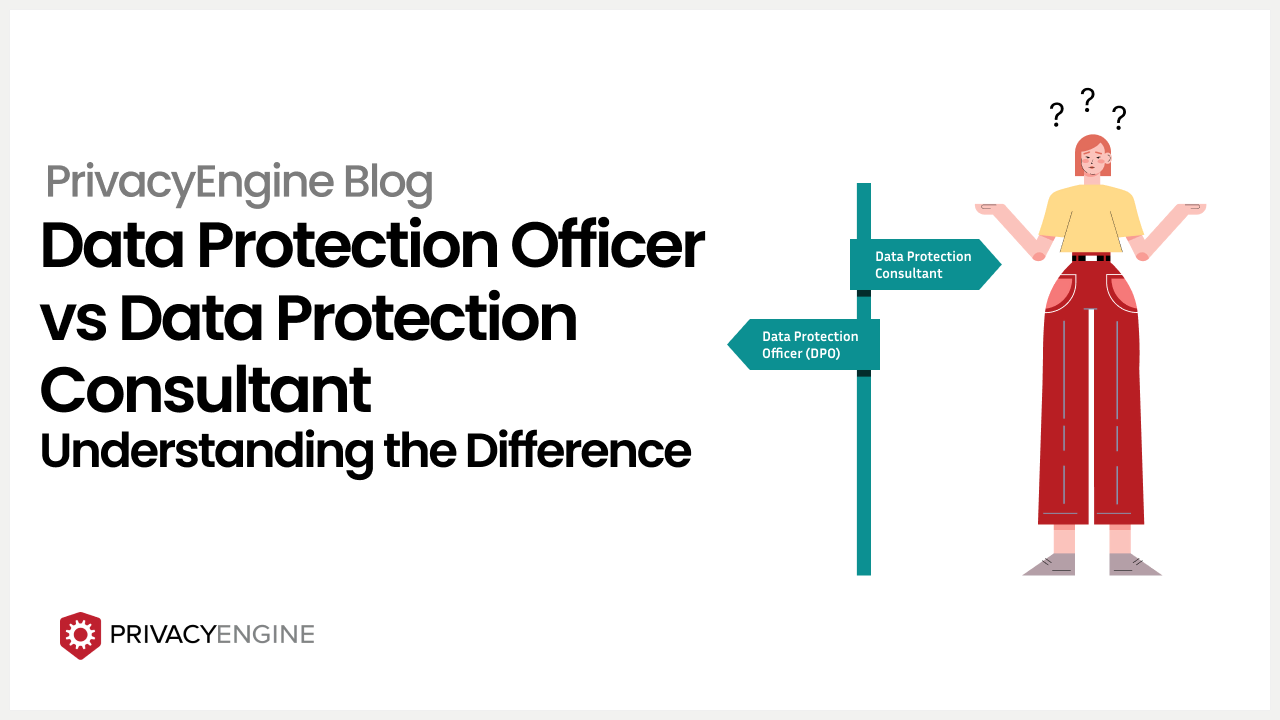 Data Protection Officer vs Data Protection Consultant