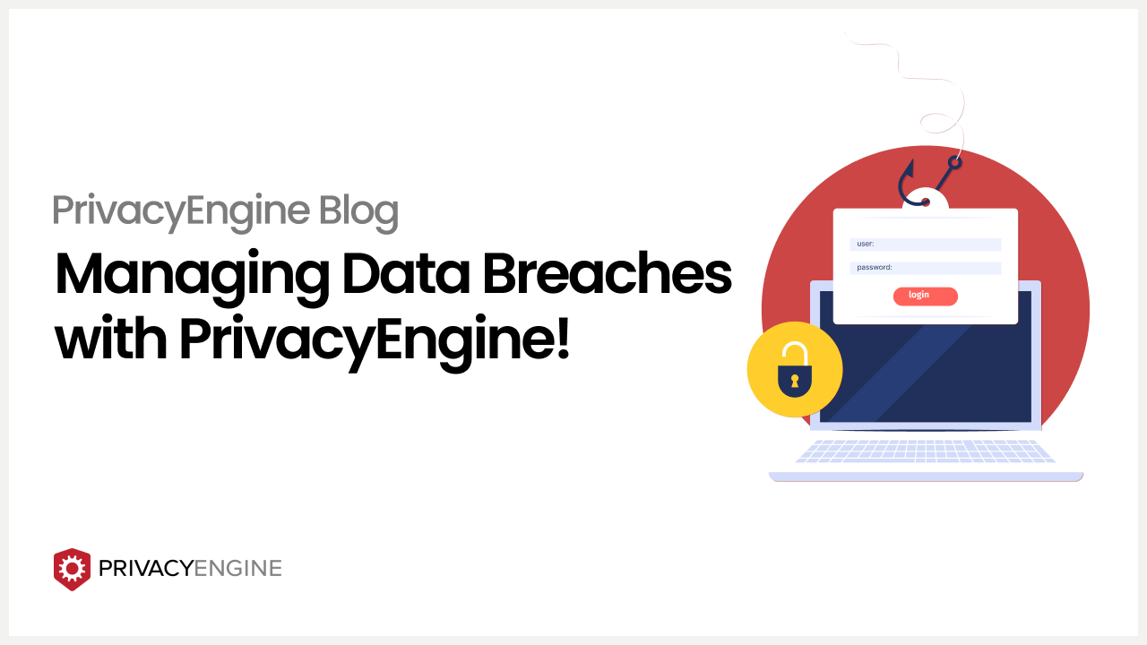 Data breaches with PrivacyEngine (1)