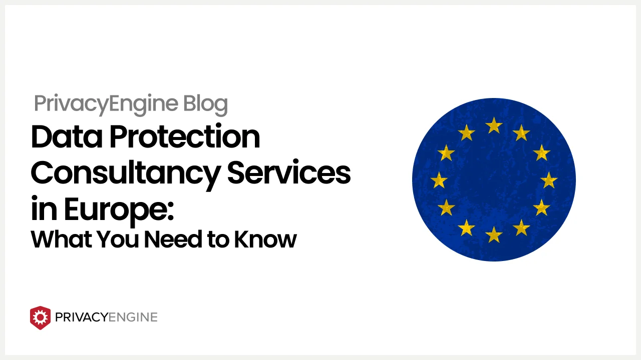 Title ''Data Protection Conultancy Services'' with Europe graphic on the right
