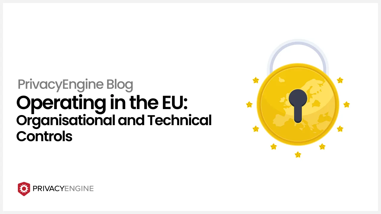 Operating in the EU_ Organisational and Technical Controls