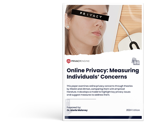 Online Privacy Measuring Individuals’ Concerns Illustration