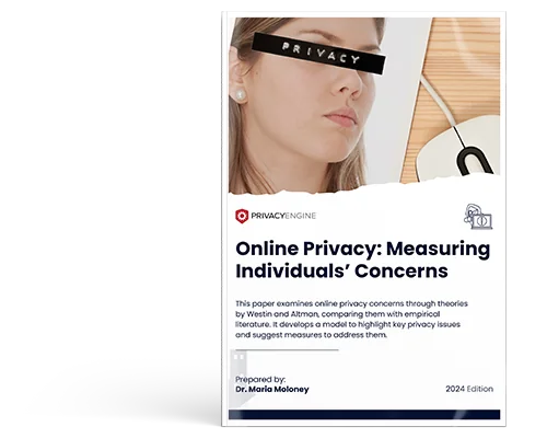 Online Privacy Measuring Individuals’ Concerns Illustration