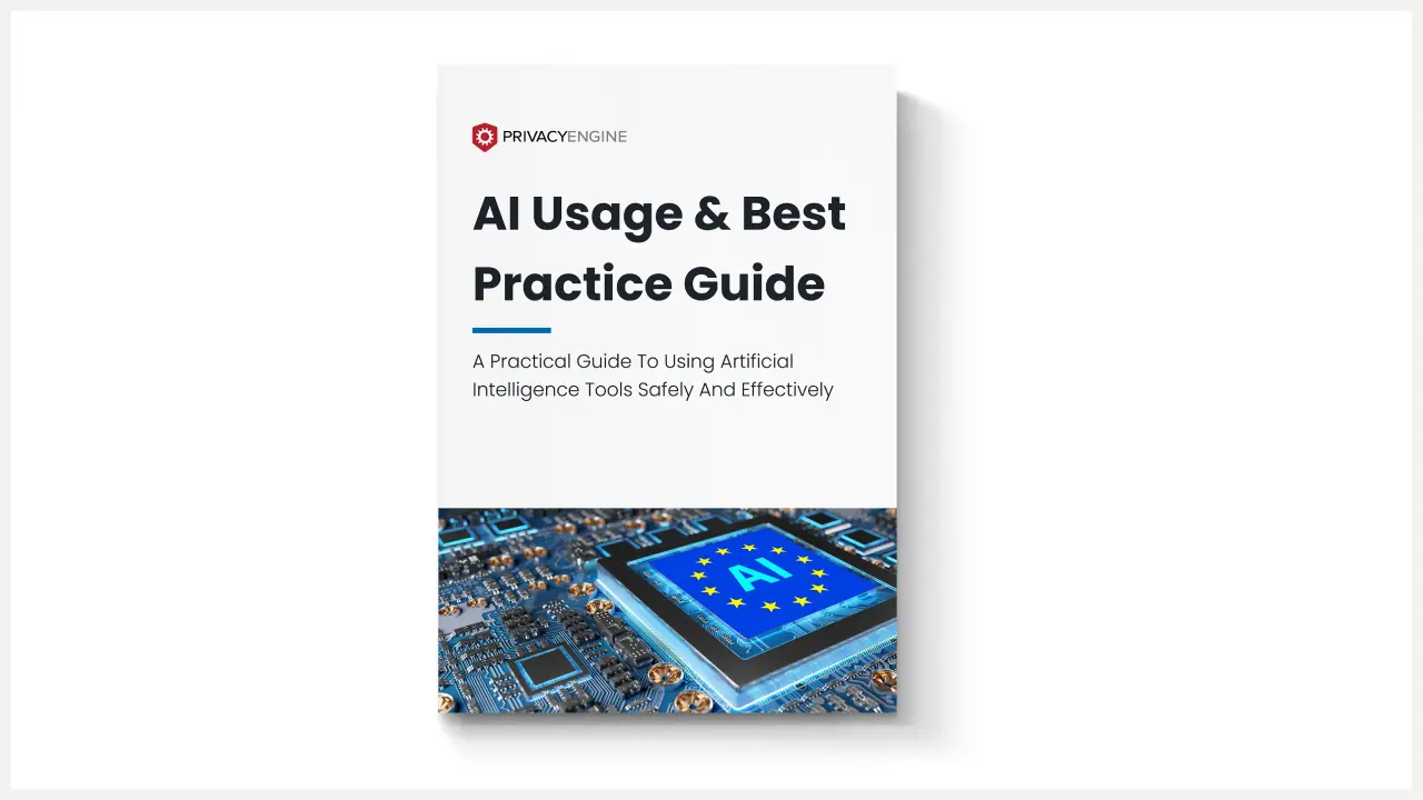 PrivacyEngine AI Usage & Best Practice Guide